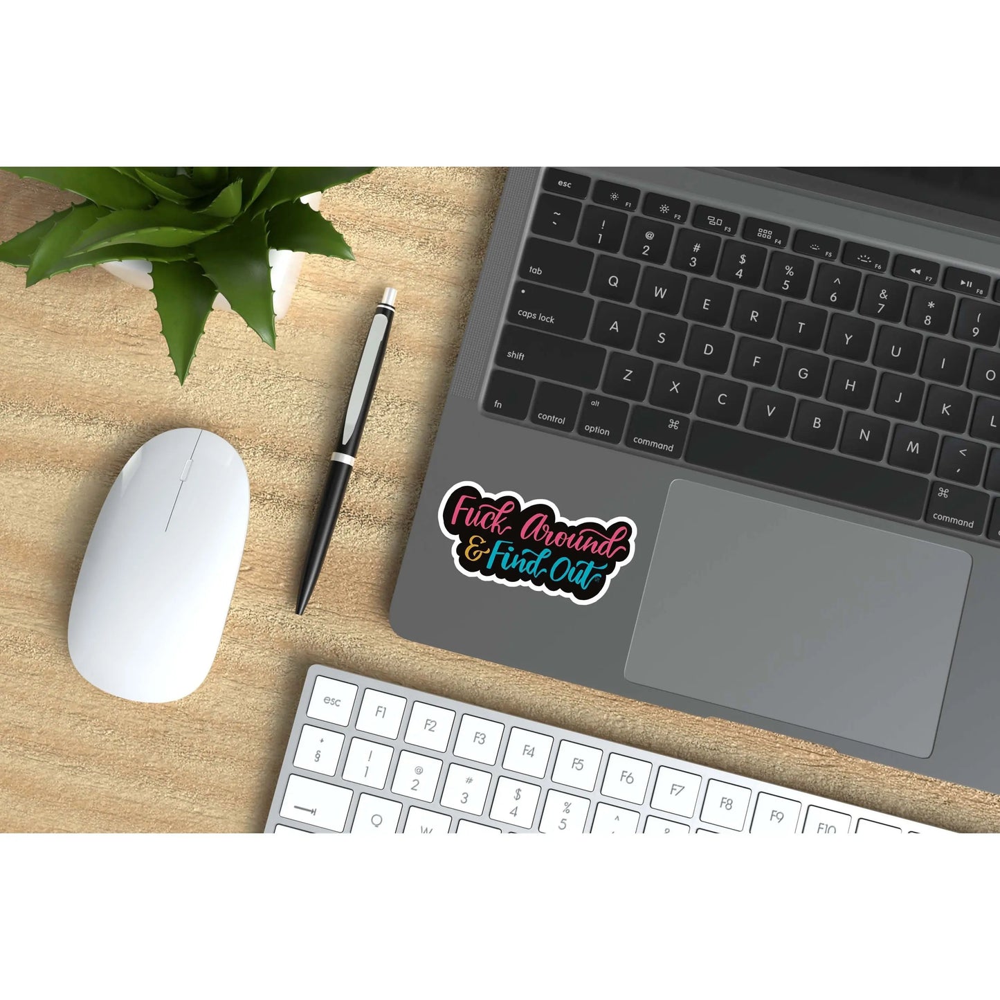 F*ck Around and Find Out Vinyl Sticker