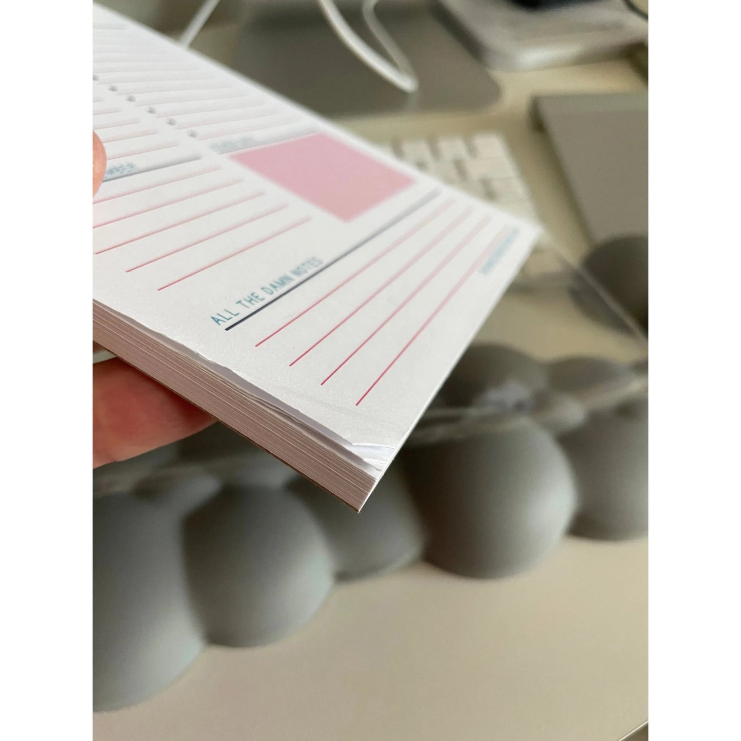 Stupid Fucking Plans Notepad - 5x7